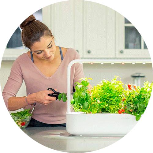 Smart Garden Riempitrice Per Alimenti Per Uccelli | Imbuto Con Collo Largo E Clip Di Rilascio | In Plastica Resistente | Per Mangiatoie Appese | Ricarica Facile E Senza Sporco - 3