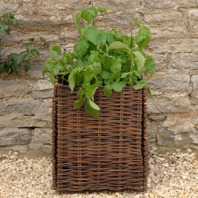 Burgon & Ball - Potato Planter - Natural Willow - Cesta per Patate in Salice Intrecciato per Vasi in Geotessile (inclusi)