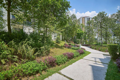 Nature in the City: Transforming Urban Spaces into Green Oases
