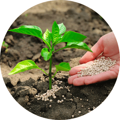 Concimi e Cura delle Piante - Fertilizzanti