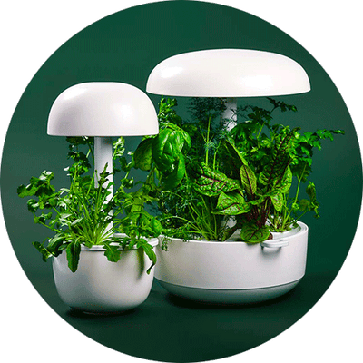 Plantui - Smart Garden