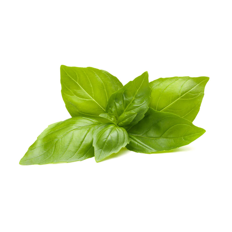 Basil Lemon Click and Grow Capsules - Pack of 3 pieces