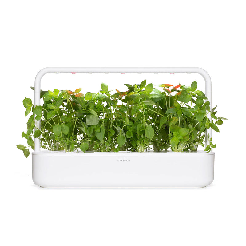 Basil Lemon Click and Grow Capsules - Pack of 3 pieces