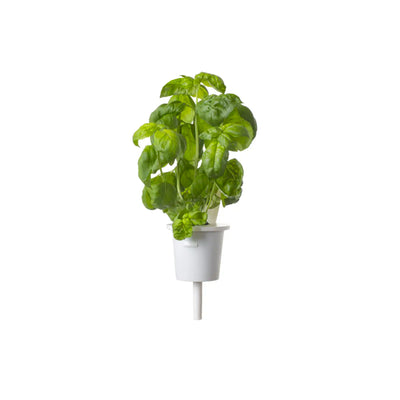 Click & Grow Vasetti per piante