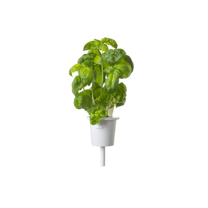Click & Grow Vasetti per piante