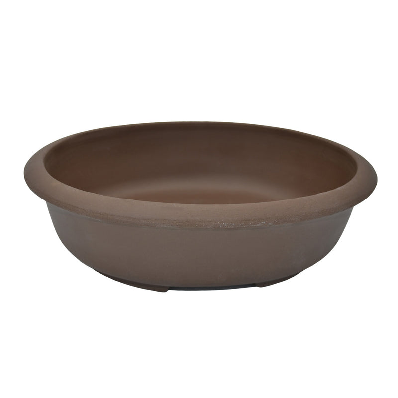 Oval pot for Bonsai
