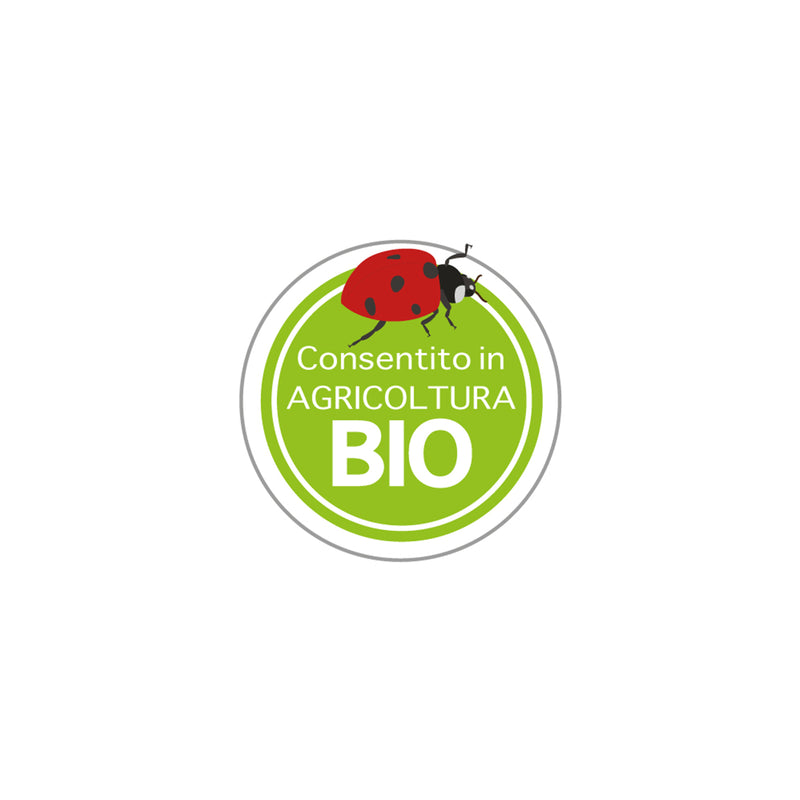 Flortis - Argilla Espansa 2L