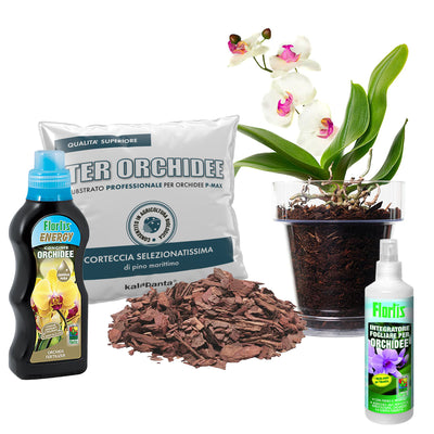 Kit Super Crescita Orchidee con Terriccio, Vaso, Sottovaso, Concime e Integratore fogliare