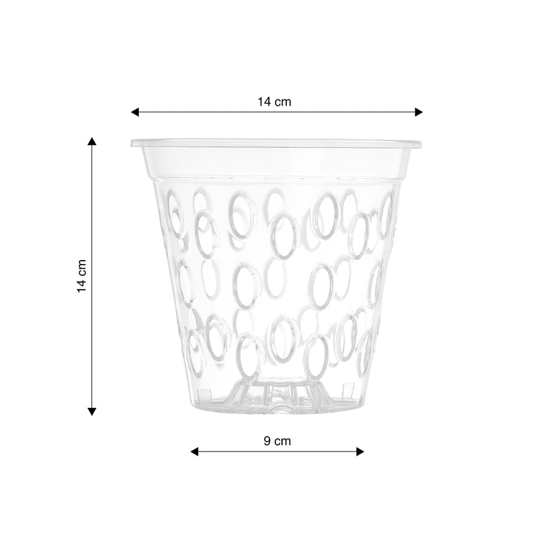 Transparent Kalapanta orchid pot with micro-holes and raised bottom