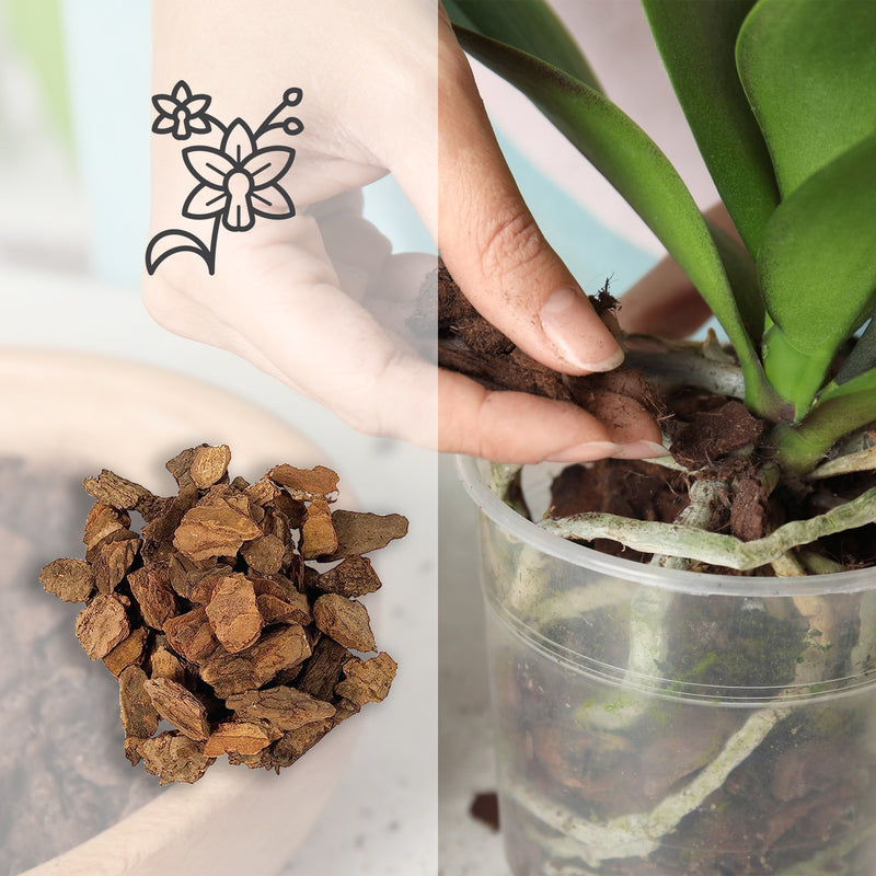 Kalapanta - Selected bark for orchids - Small size 5-15 mm, 2 litres
