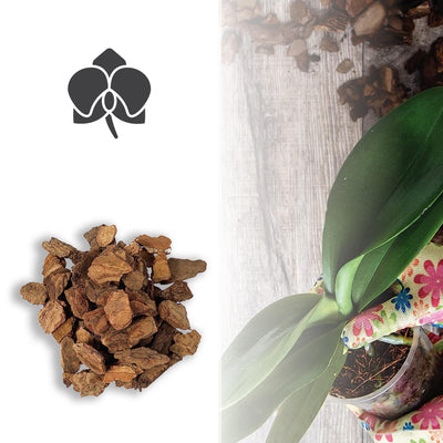 Kalapanta - Bark per Orchidee pezzatura piccola 5-15 mm - Sacco da 2 Litri