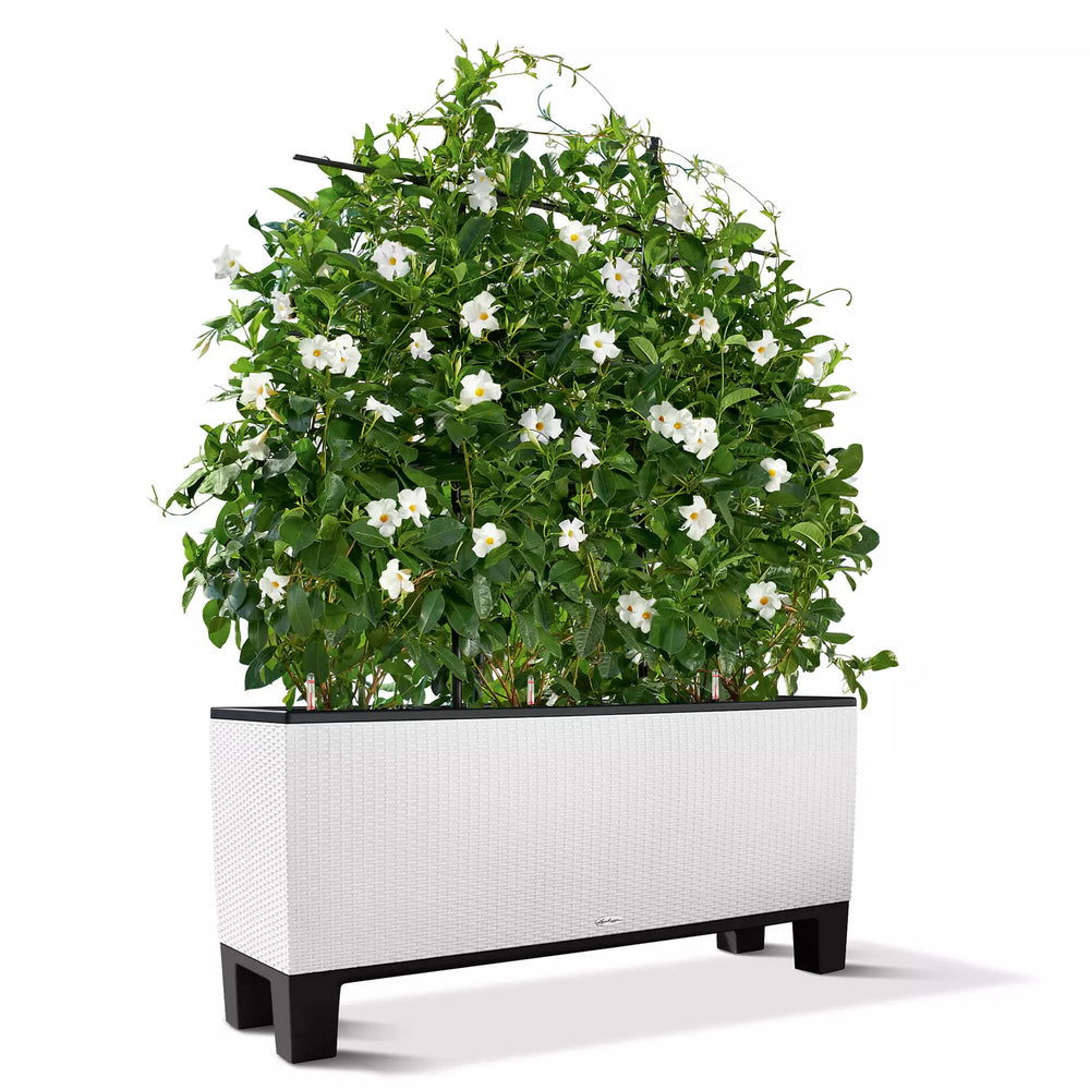 Gnomo Da Giardino Lechuza 2023 - 68.5 Cm, In Plastica Resistente Ai Raggi UV, Per Esterni