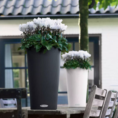 Lechuza - CILINDRO COLOR vase with self-watering system