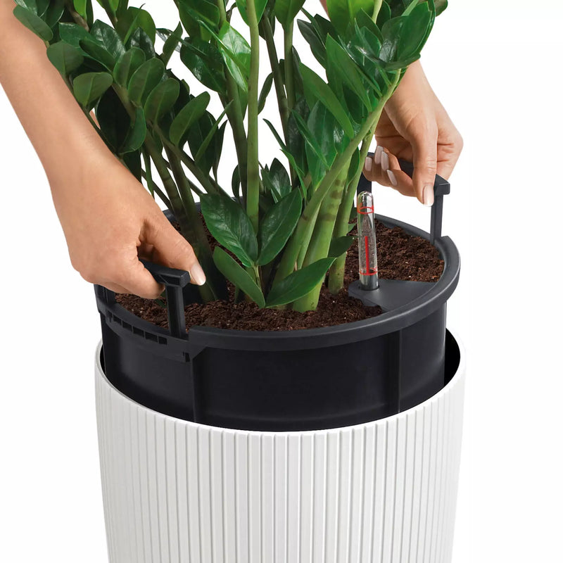 Lechuza - CILINDRO COLOR vase with self-watering system