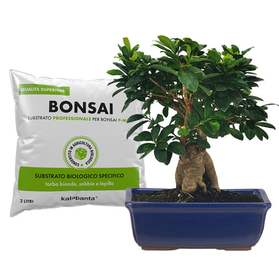 Kalapanta - P-MAX Bonsai Soil - 2 Liter Bag