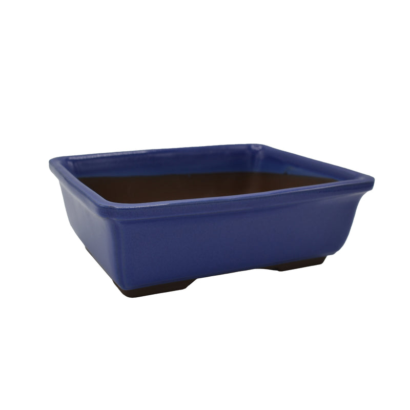 Vaso rettangolare per Bonsai