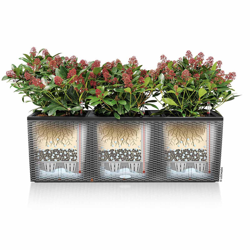 Lechuza - TRIO COTTAGE Outdoor planter with integrated self-watering system