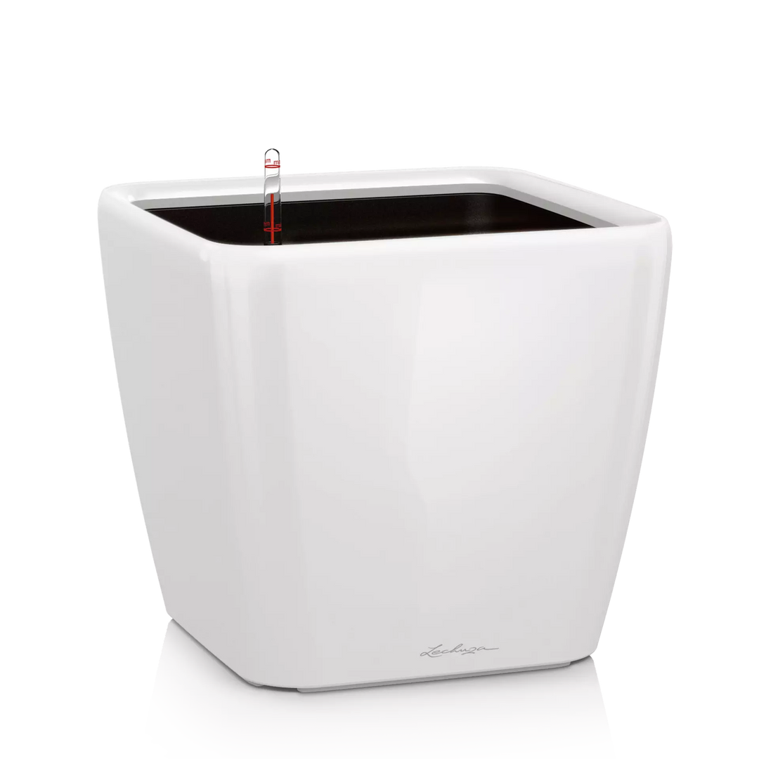 Vaso LECHUZA CLASSICO Color 14 Bianco – 15x13,5 Cm, Con Sistema Di Irrigazione E Indicatore Acqua - 3
