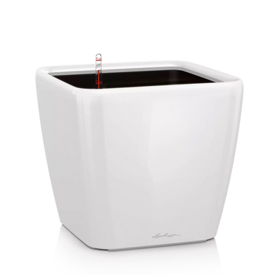 Lechuza - QUADRO LS PREMIUM pot with self-watering system