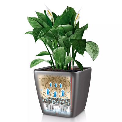 Lechuza - QUADRO LS PREMIUM pot with self-watering system