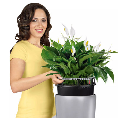 Lechuza - RONDO Premium Vaso con sistema di auto irrigazione integrato