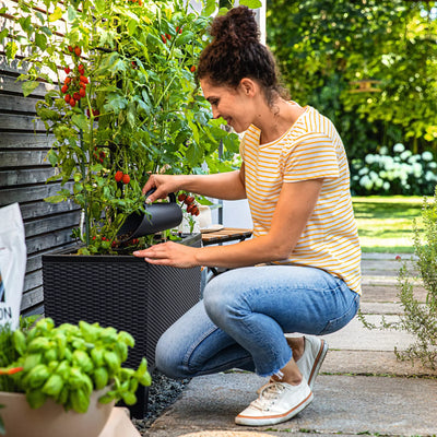 Lechuza - TRIO COTTAGE Outdoor planter with integrated self-watering system