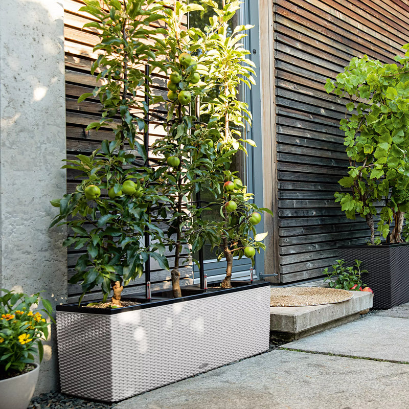 Lechuza - TRIO COTTAGE Outdoor planter with integrated self-watering system