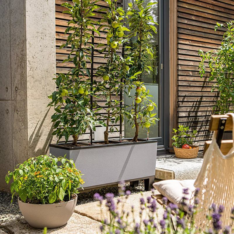 Lechuza - TRIO STONE Fioriera da esterno con Sistema di auto irrigazione integrato