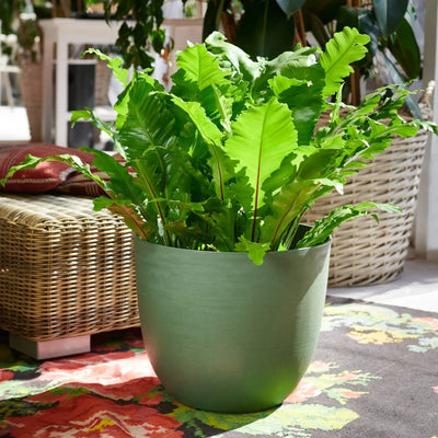 Over - Vaso tondo in plastica 100% riciclata con riserva d'acqua