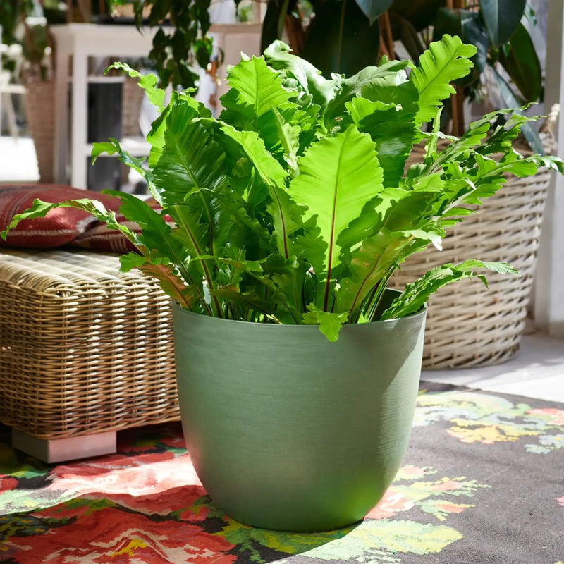 Over - Vaso tondo in plastica 100% riciclata con riserva d&