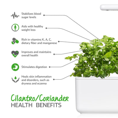 Click and Grow Coriander Capsules - Pack of 3
