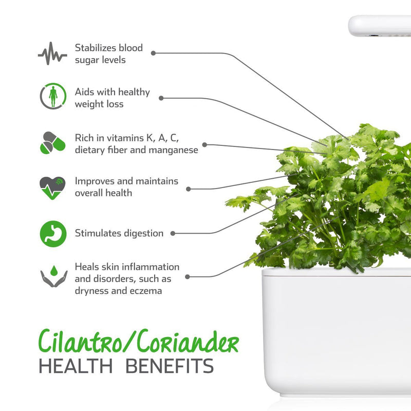 Click and Grow Coriander Capsules - Pack of 3