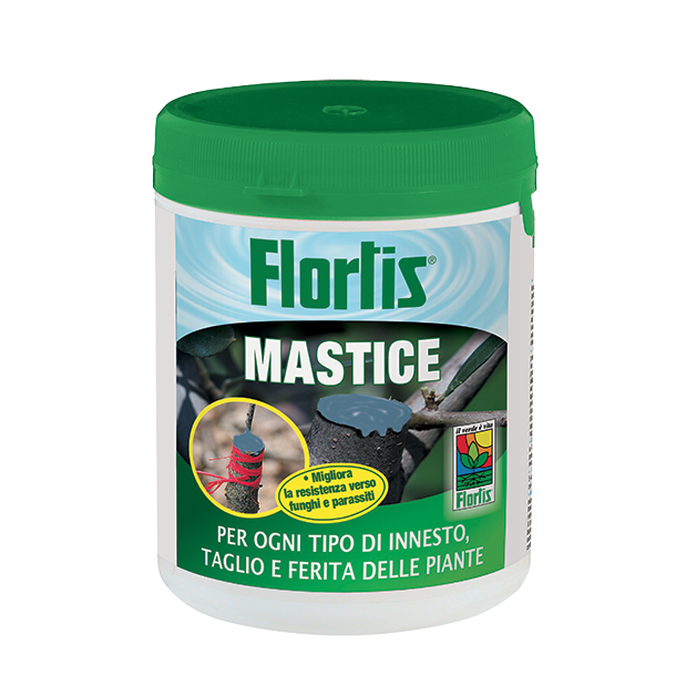 Mastice Flortis pasta fluida - 500 gr