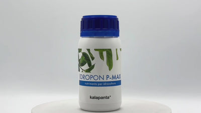 Hydroculture nutrient Kalapanta Idropon P-Max enhanced formula for root growth