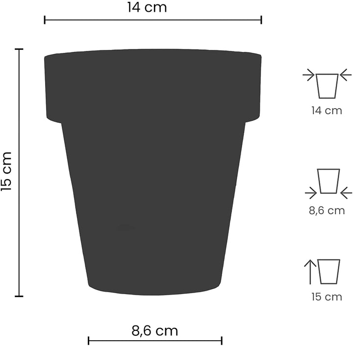 Set 3 Vasi Kalapanta colori Assortiti in plastica lucida con fondo ria