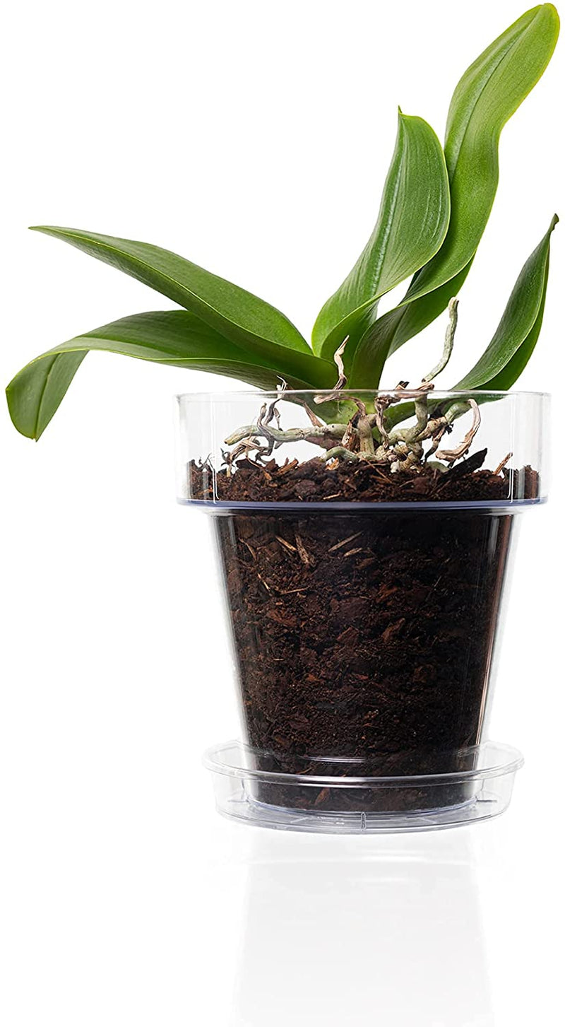 Vaso Trasparente per orchidea, con sottovaso