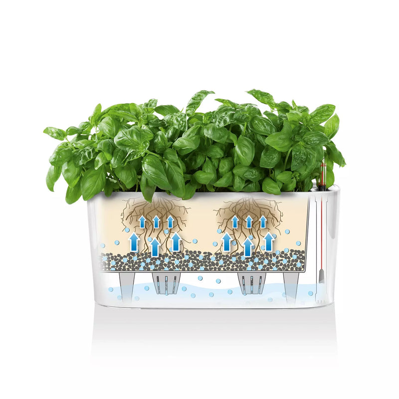 Lechuza - DELTA 10 e DELTA 20 Vaso da tavolo con sistema di auto irrigazione