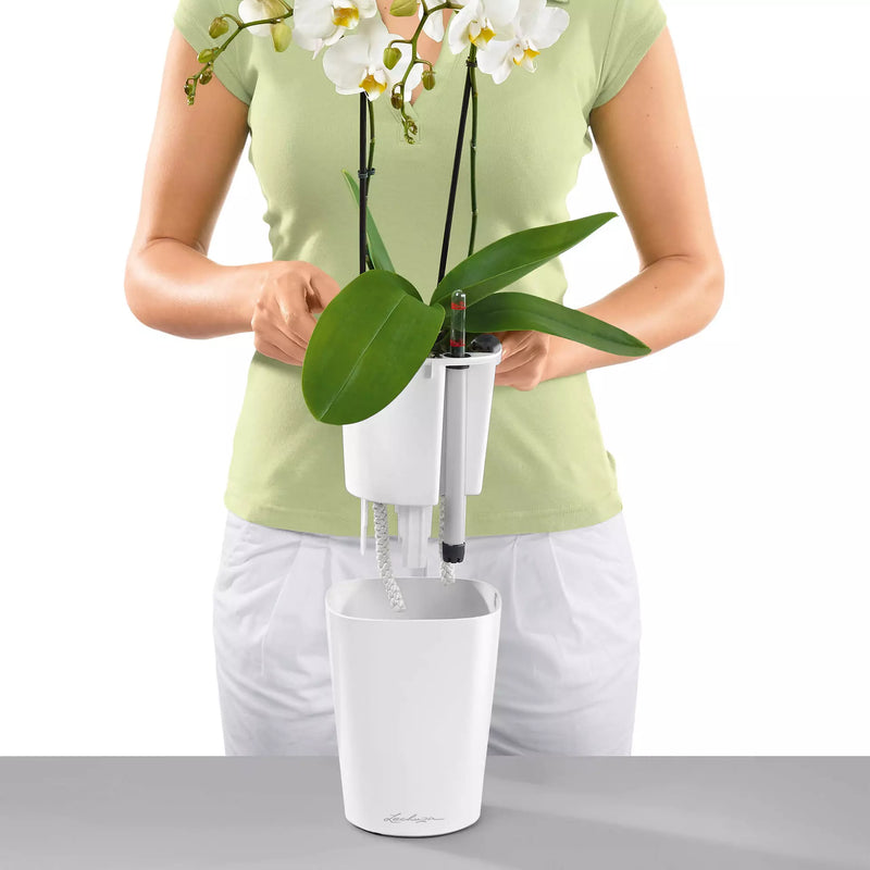 Lechuza - DELTINI PREMIUM Table vase with self-watering system