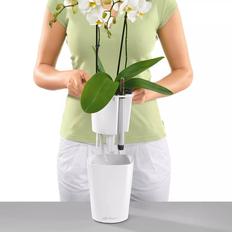 Vaso Deltini Premium Lechuza - Vaso di design con sistema di auto irrigazione
