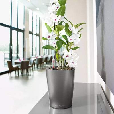 Lechuza - DELTINI PREMIUM  Vaso da tavolo con sistema di auto irrigazione