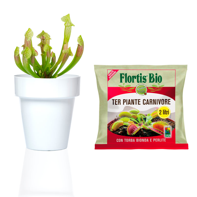 Kalapanta kit for repotting carnivorous plants with specific organic soil