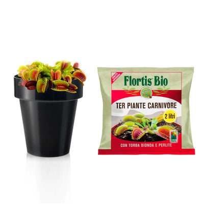 Kalapanta kit for repotting carnivorous plants with specific organic soil