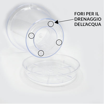 Kit 2 Pots for Orchids Kalapanta Transparent in plastic with Drainage Holes and Saucer