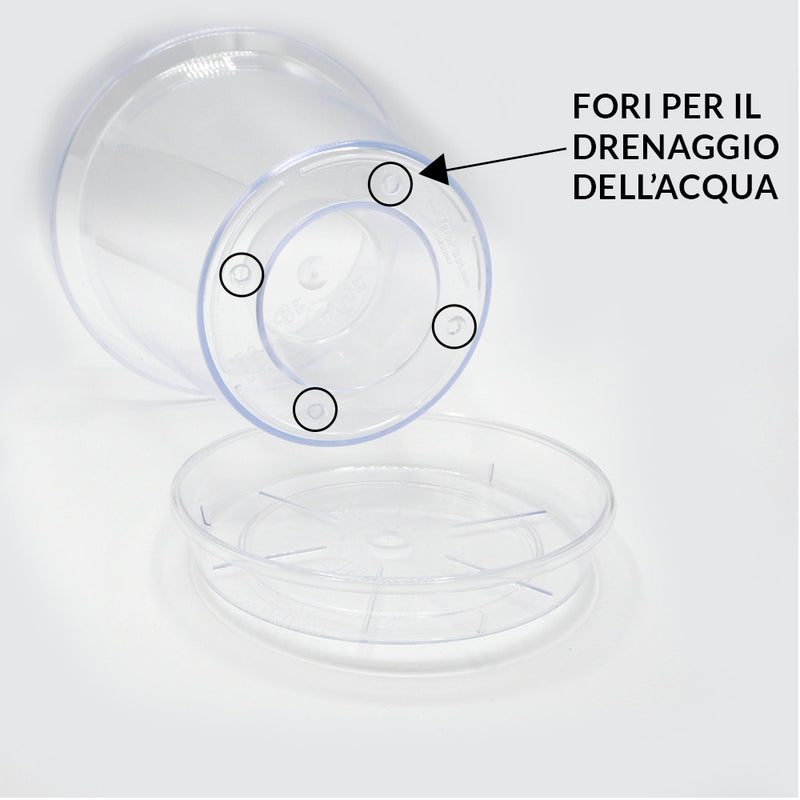 Kit of 5 Transparent Plastic Pots for Kalapanta Orchids with Drainage Holes and Saucer