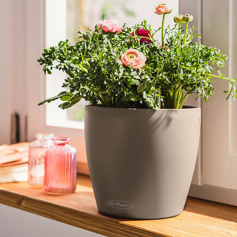Lechuza - CLASSICO Color Vase with integrated self-watering system