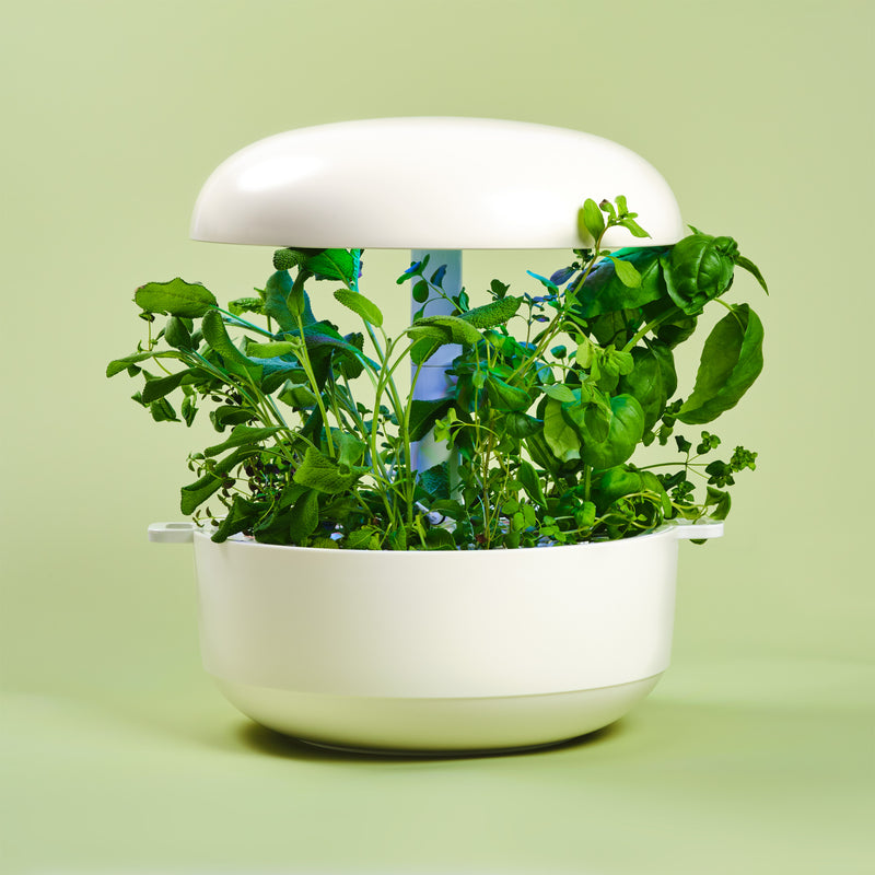 Capsule Confezione Multipla Mediterranean Herbs Plantui - Confezione da 18 pezzi
