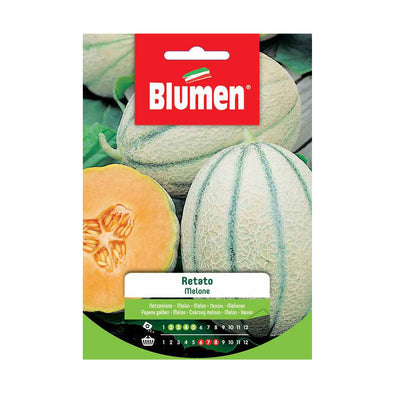 Semi Melone Retato - Blumen