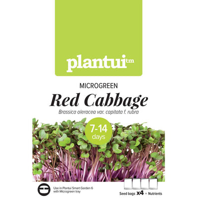 Microgreen Cavolo Rosso - Coltivabili con il vassoio MICROGREENS per Smart Garden Plantui 6