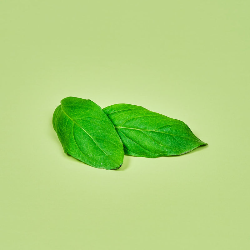 Capsule Basilico Limone Plantui - Confezione da 3 pezzi