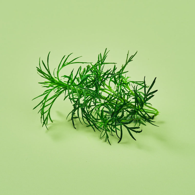 Capsule Liquirizia Plantui - Confezione da 3 pezzi